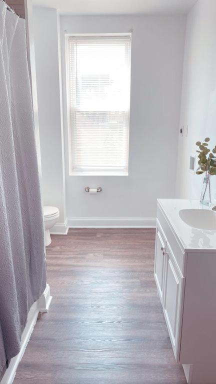 Bohemian Gem In Charm * Baltimore